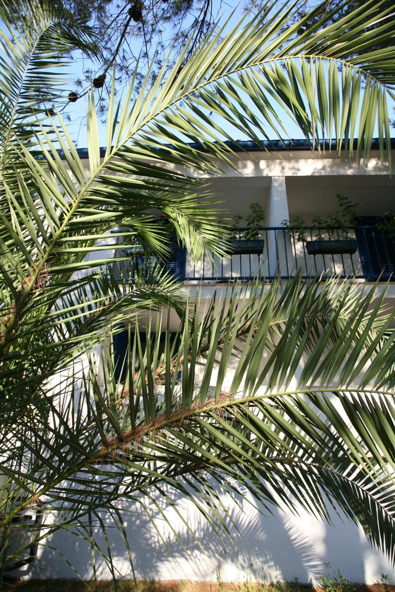 Hotel Sali Εξωτερικό φωτογραφία